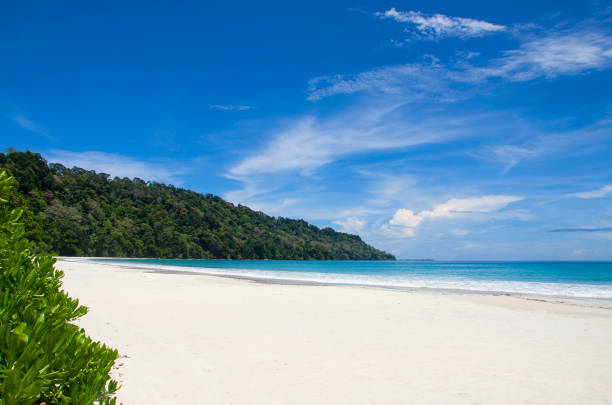 Andaman Island Group Tour